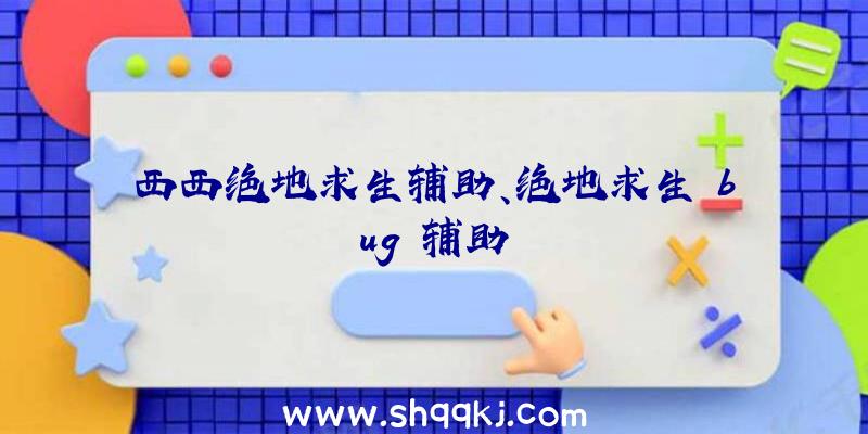 西西绝地求生辅助、绝地求生